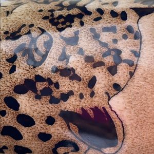 Meet your Posher, Lidia